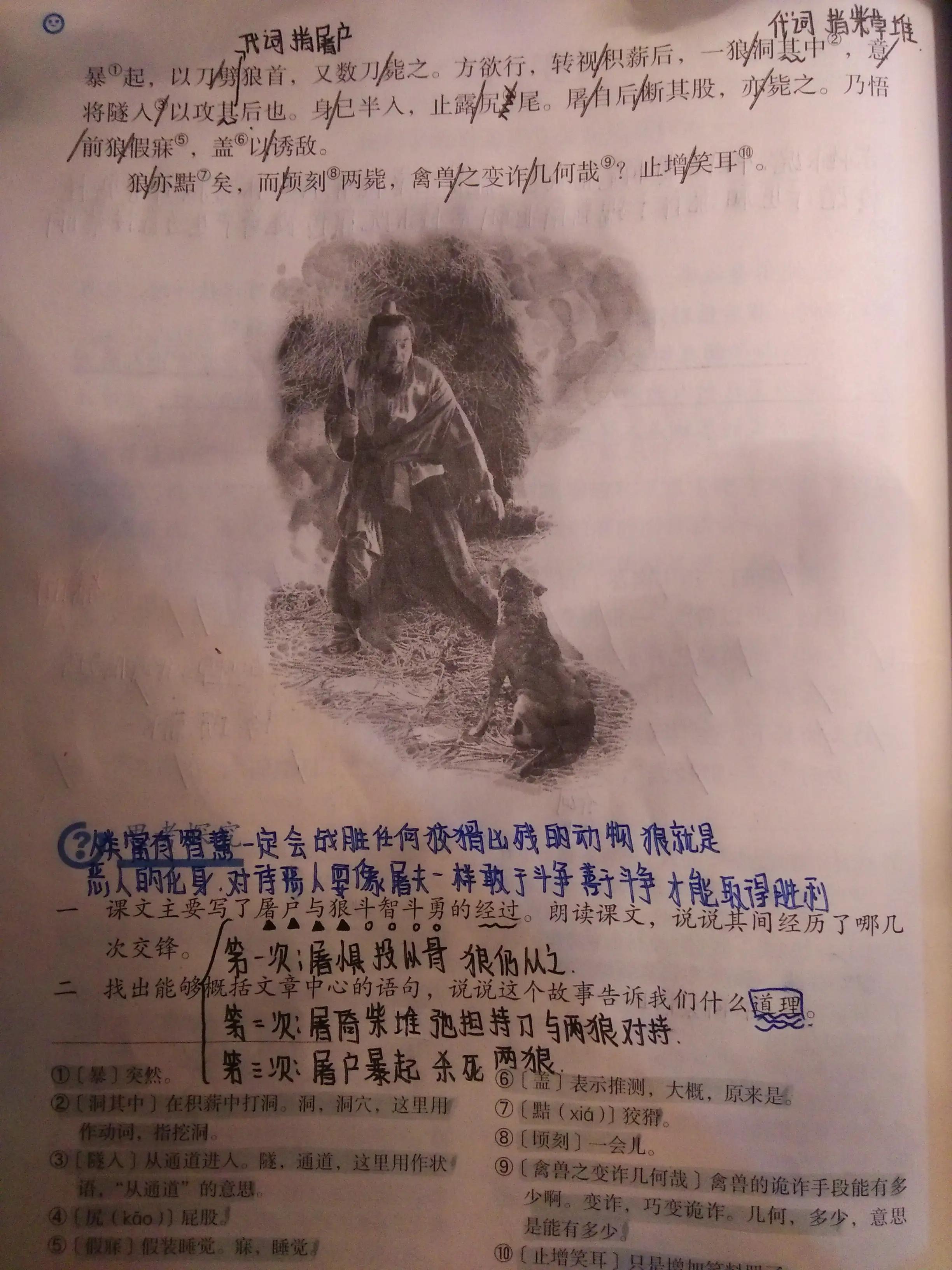止增笑耳_止增笑耳 止插图1 止增笑耳_止增笑耳 止插图1